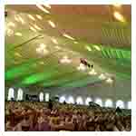 arabic canopy